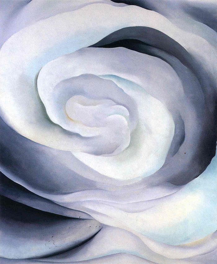 Georgia O'Keeffe, White Rose, Great American Artist