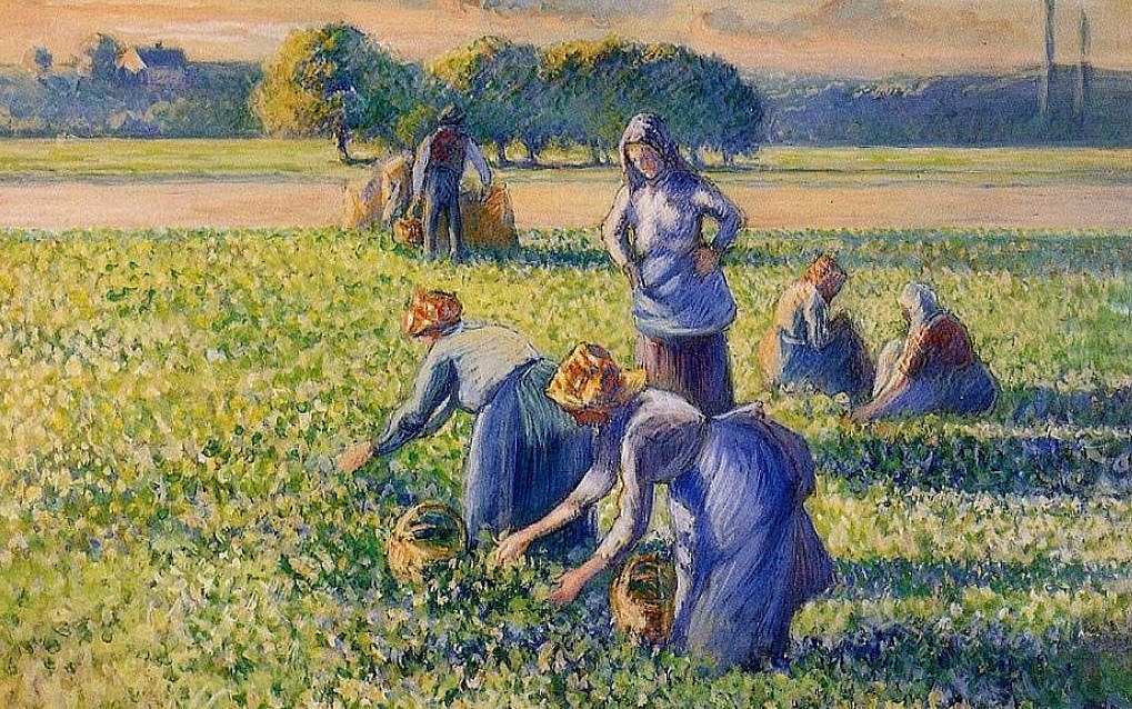 The Pea Harvest (La cueillette des pois) by Camille Pissarro returned to its legitimate owners based on a decree of 1945. 