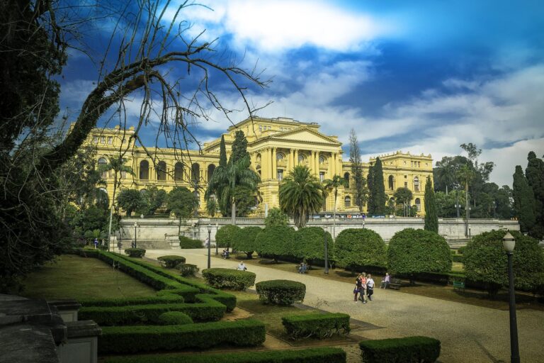 Rebuilding at The National Museum of Brazil