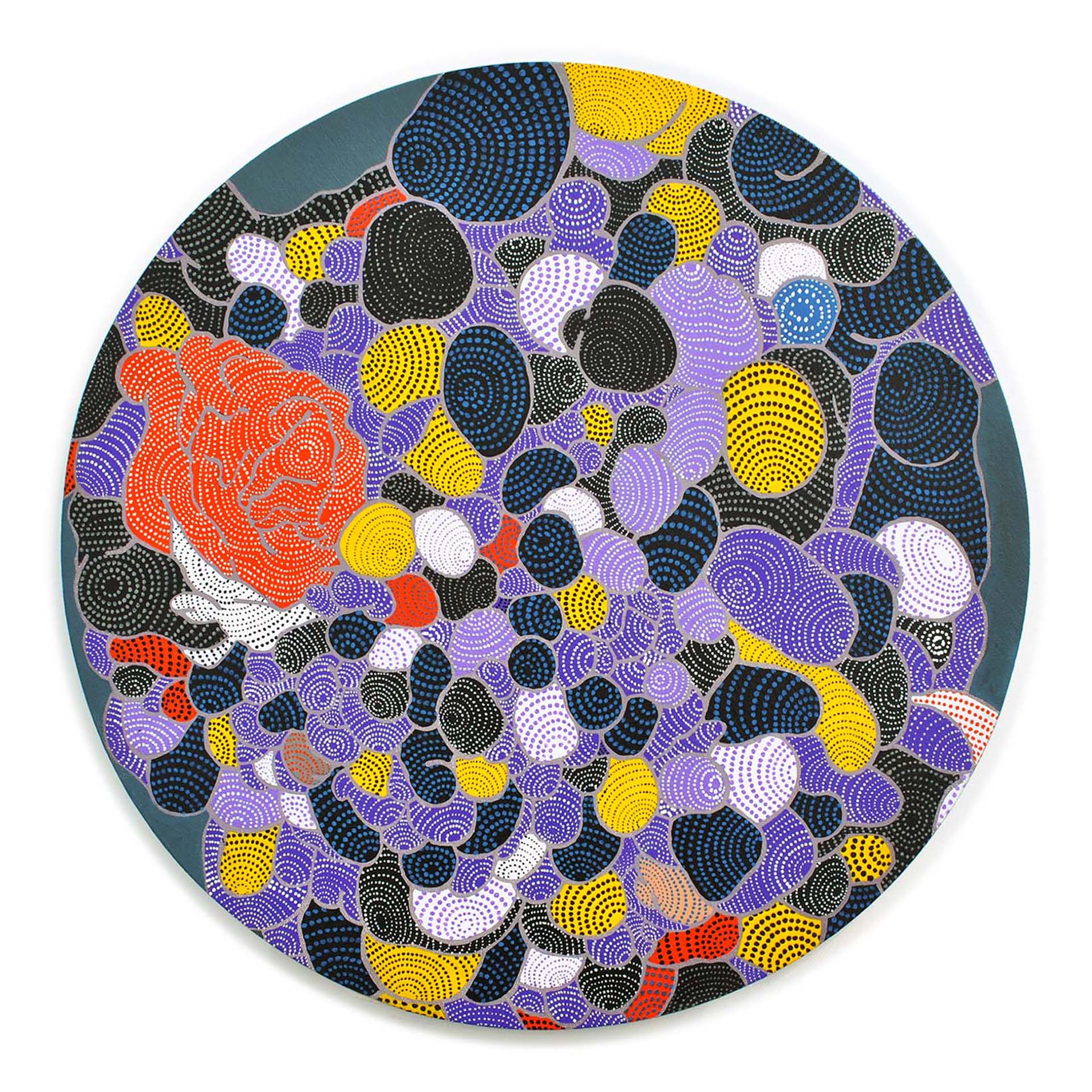 Cell 5. 2013