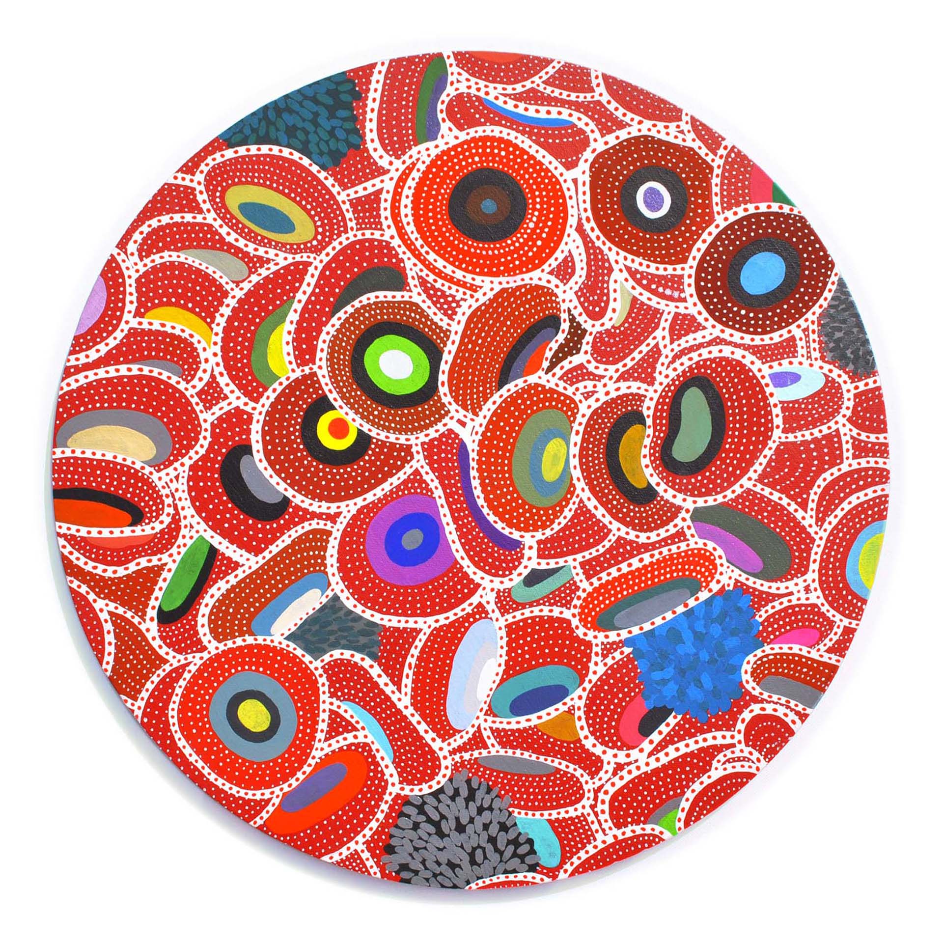 Cell 6. 2013