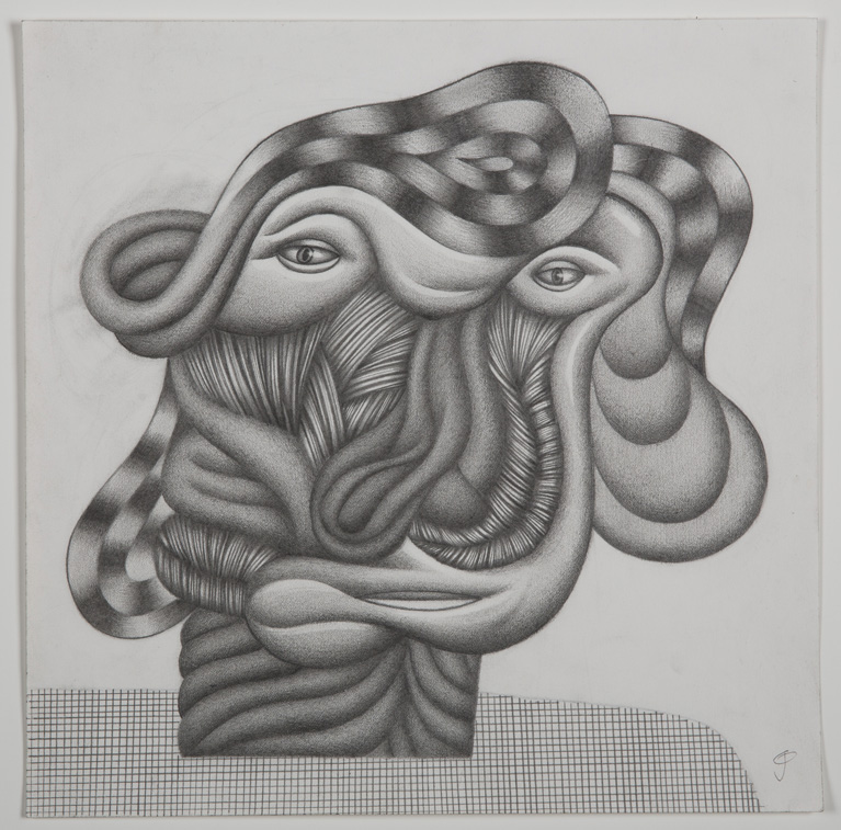 Pencil study for McKinley’s delight. 2016