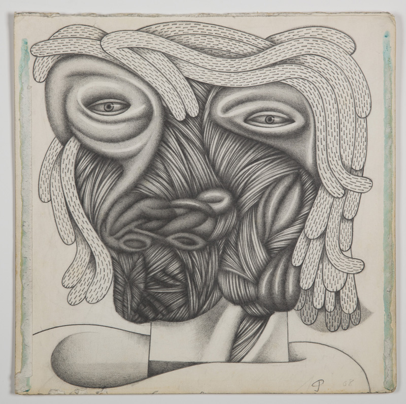Pencil study for Ruby my dear. 2016